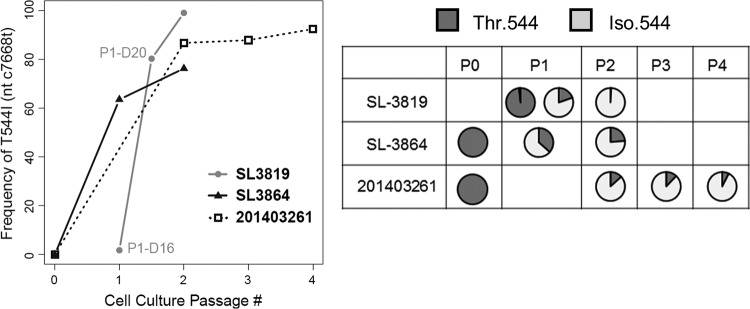 FIG 6