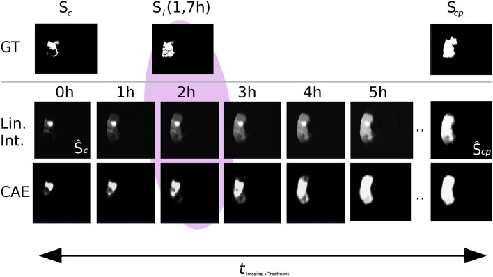 Figure 7