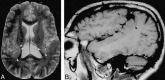 <sc>fig</sc> 3.