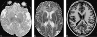 <sc>fig</sc> 4.