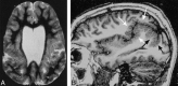 <sc>fig</sc> 7.