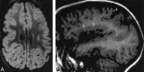 <sc>fig</sc> 8.