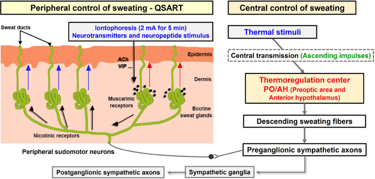 SCHEME 2