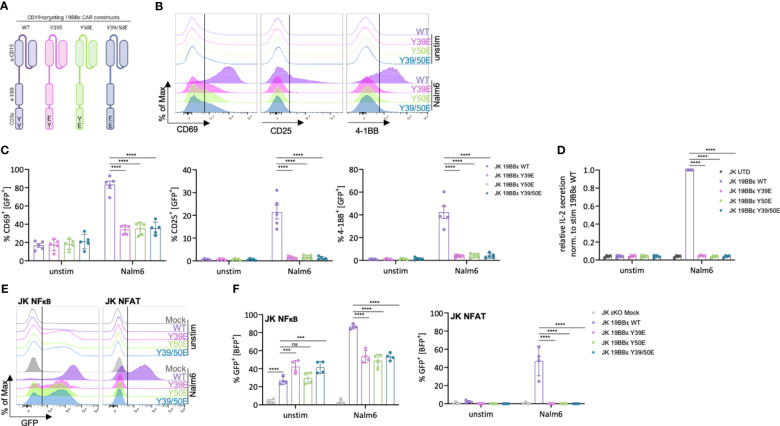 Figure 4