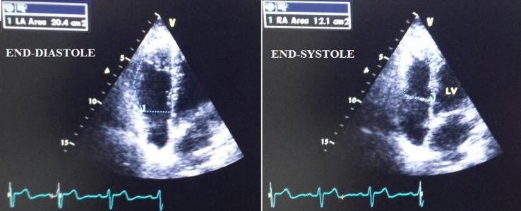 Fig. 3.