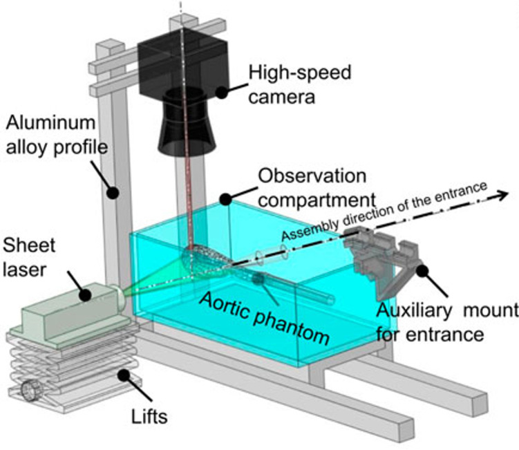 Figure 6