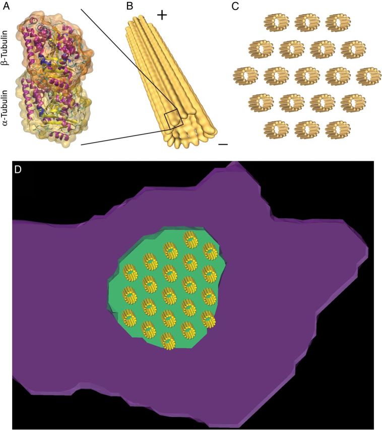 Figure 3