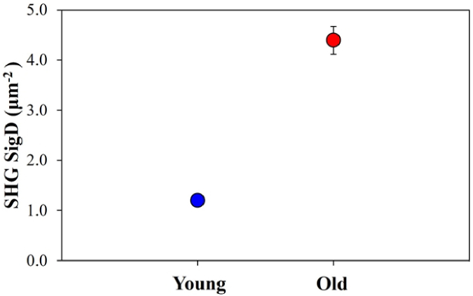 Fig. 8.