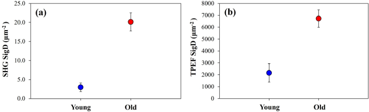 Fig. 12.