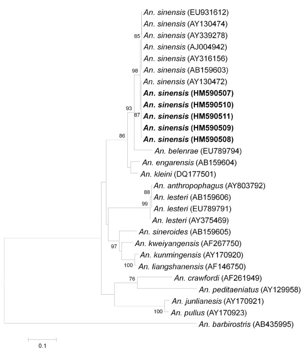 Figure 5