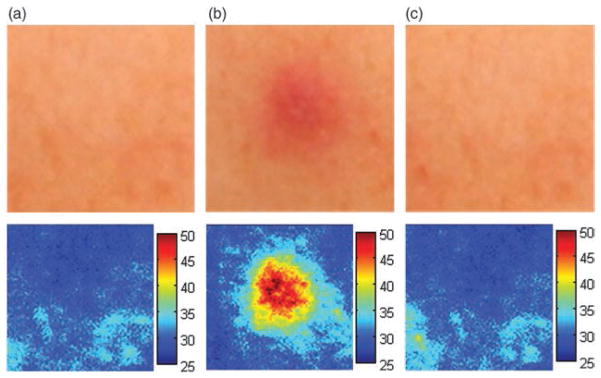 Fig. 7