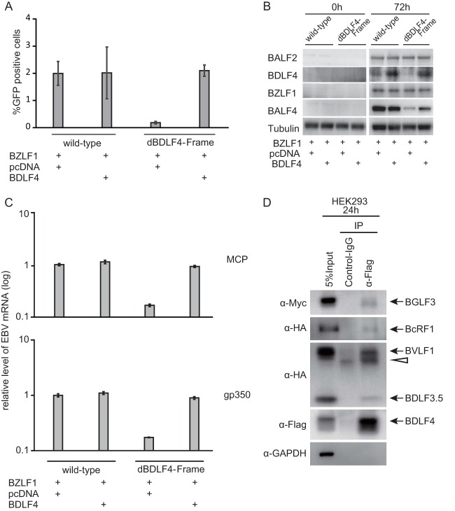 FIG 4