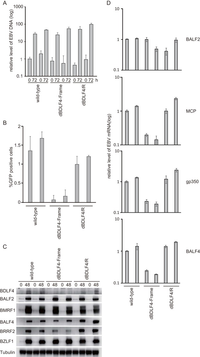 FIG 3