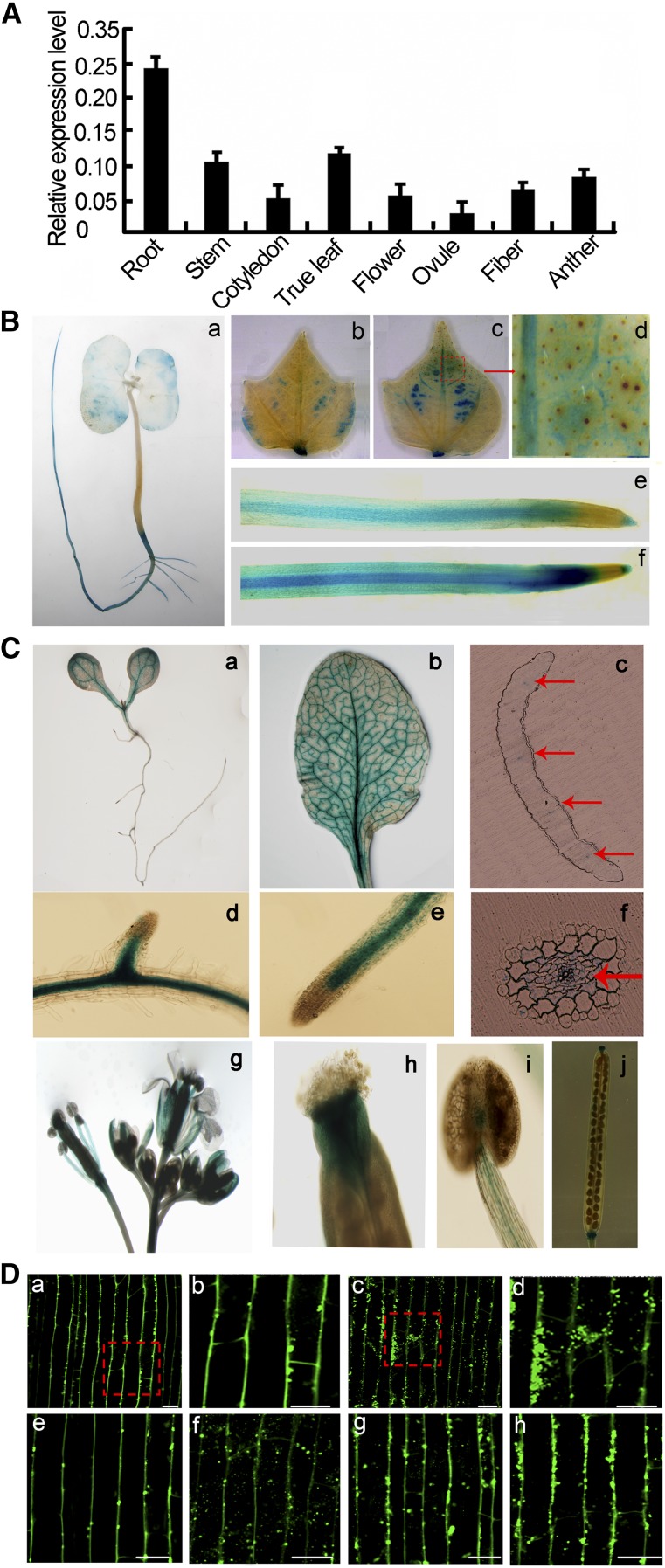 Figure 5.