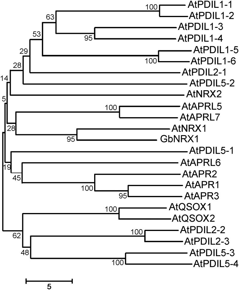 Figure 4.