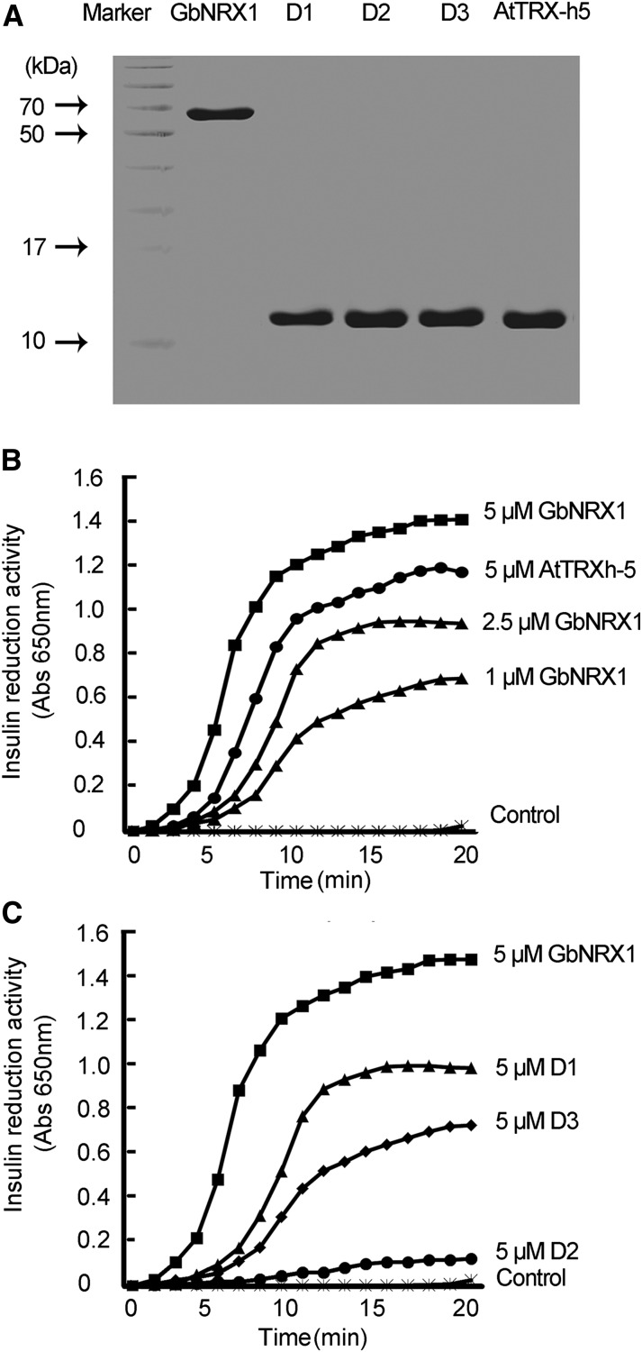 Figure 6.