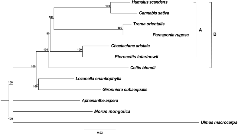 Fig. 3