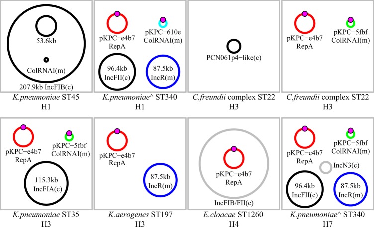 FIG 2