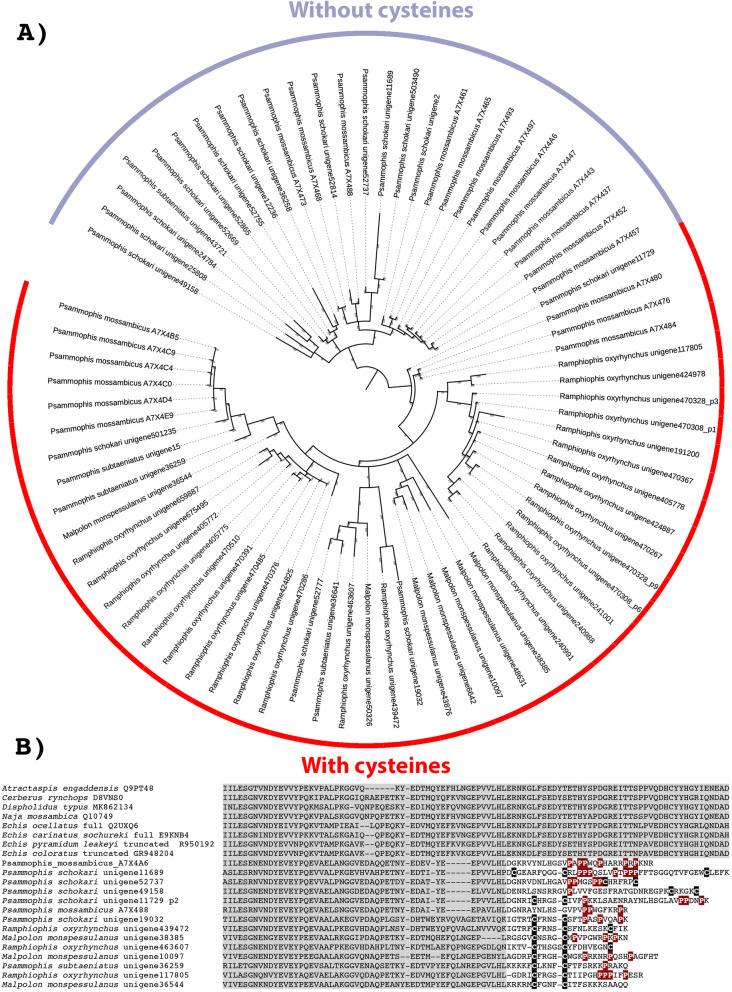 Fig. 13