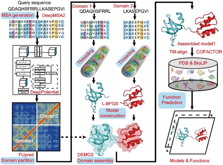 Graphical Abstract