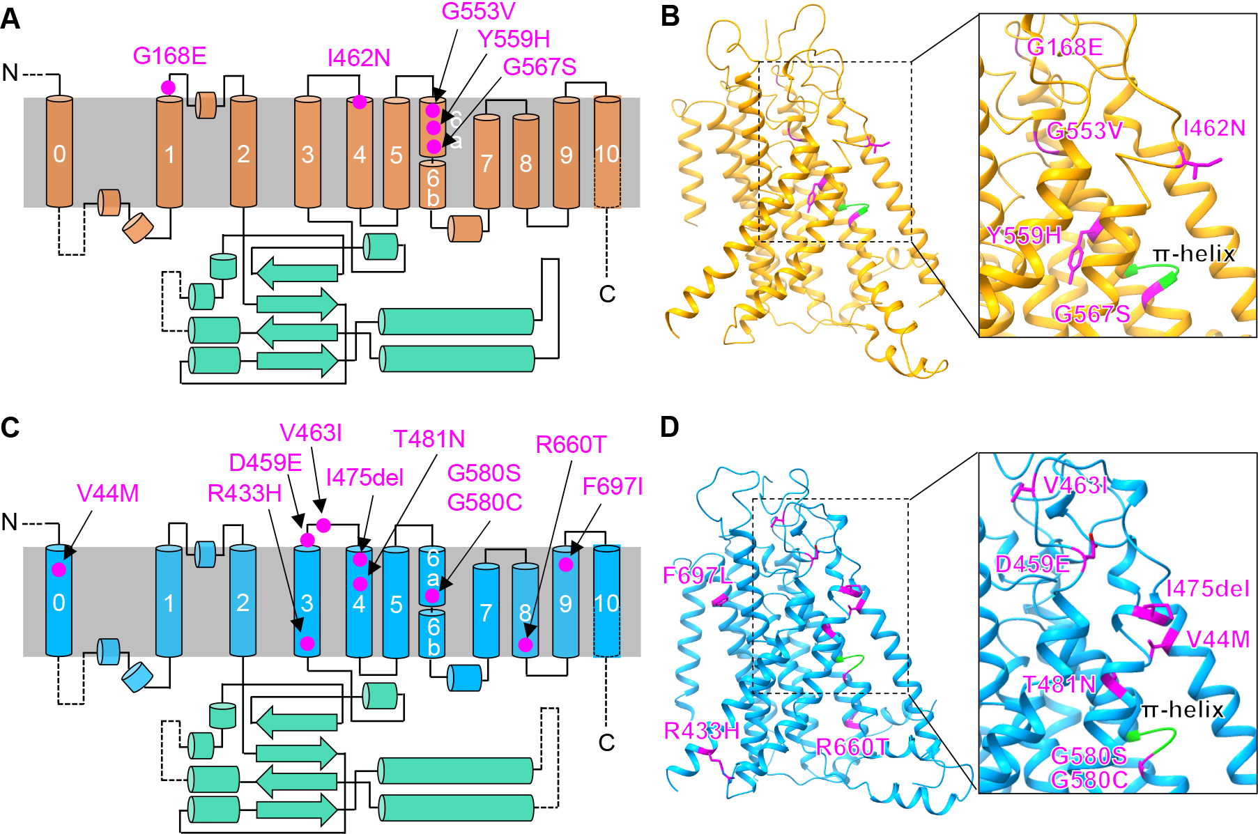 Figure 7.