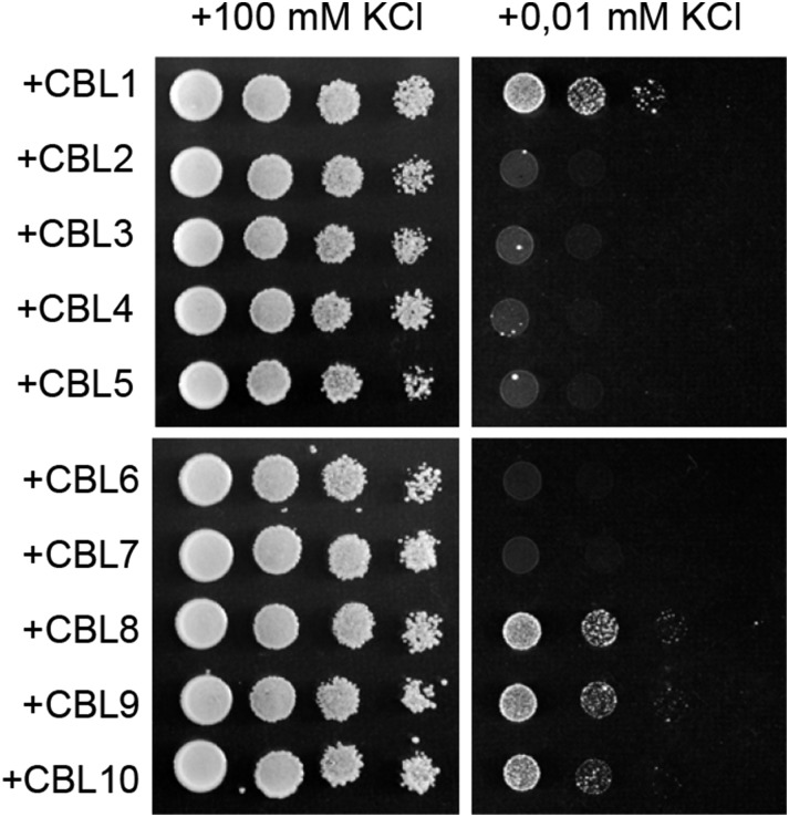 Figure 4.