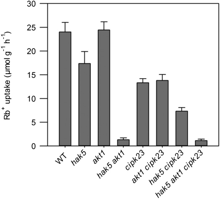 Figure 6.