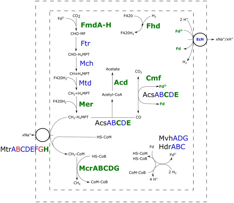 FIGURE 3