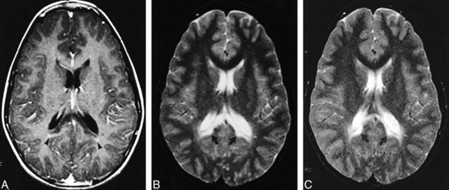 FIG 3.