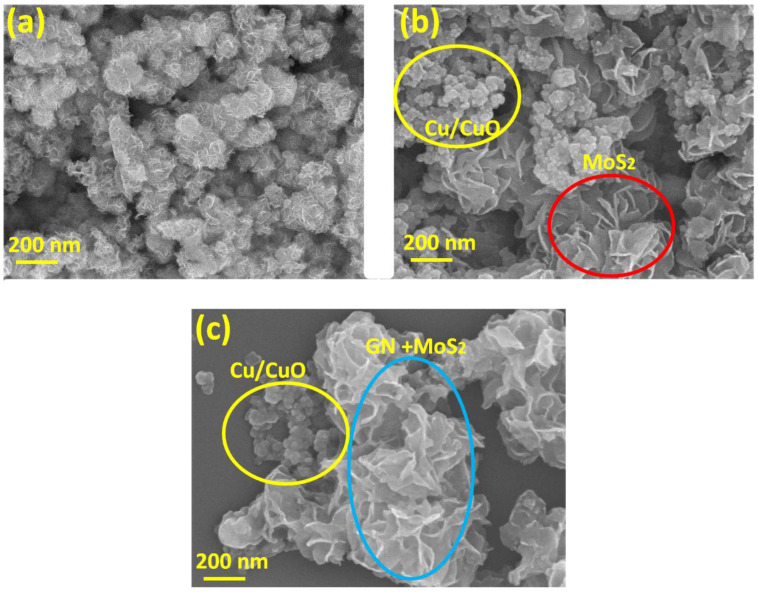 MoS2-Cu/CuO@graphene Heterogeneous Photocatalysis for Enhanced ...