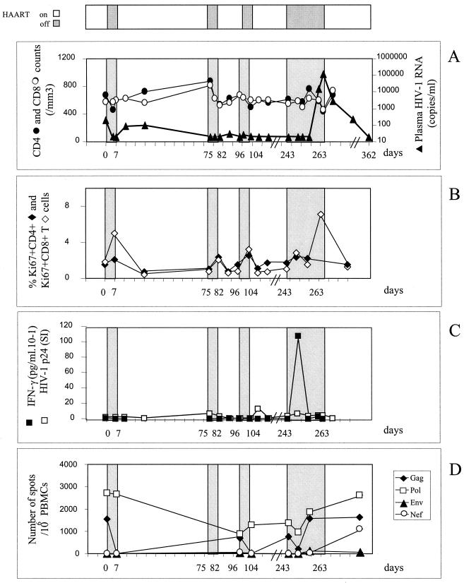 FIG. 1