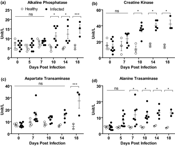 FIGURE 4