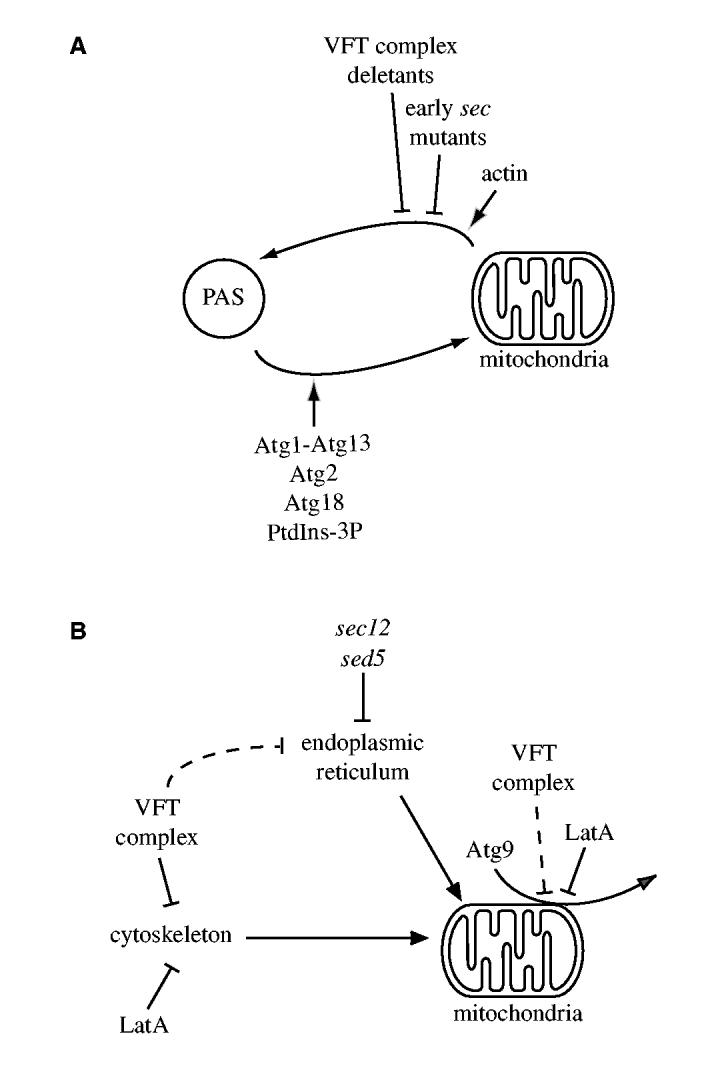 Fig. 8