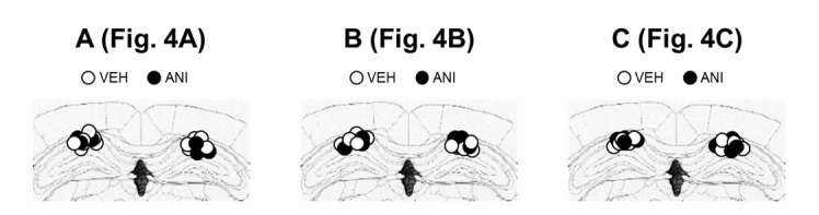 Figure 4—figure supplement 1.