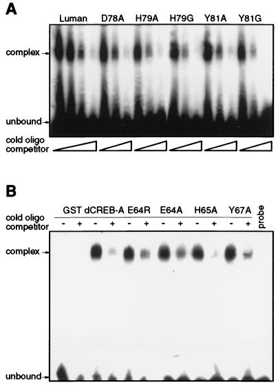 FIG. 7