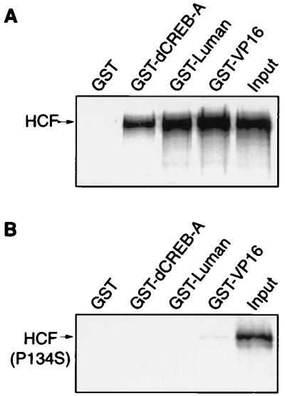 FIG. 8