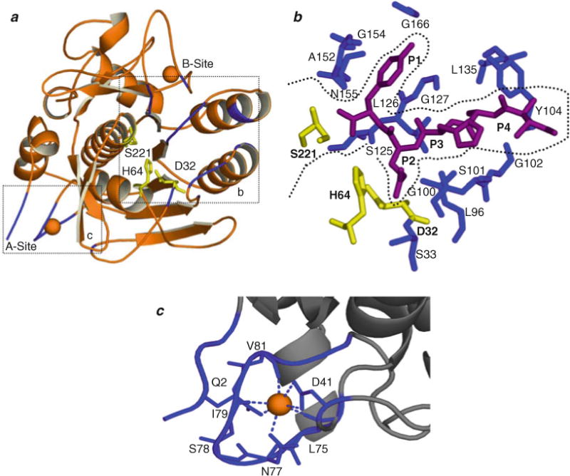 Fig. 4.1