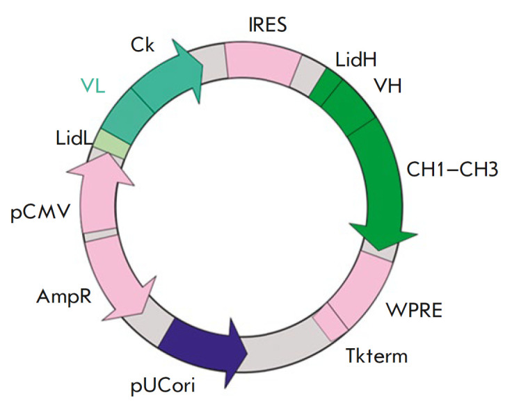 Fig. 3