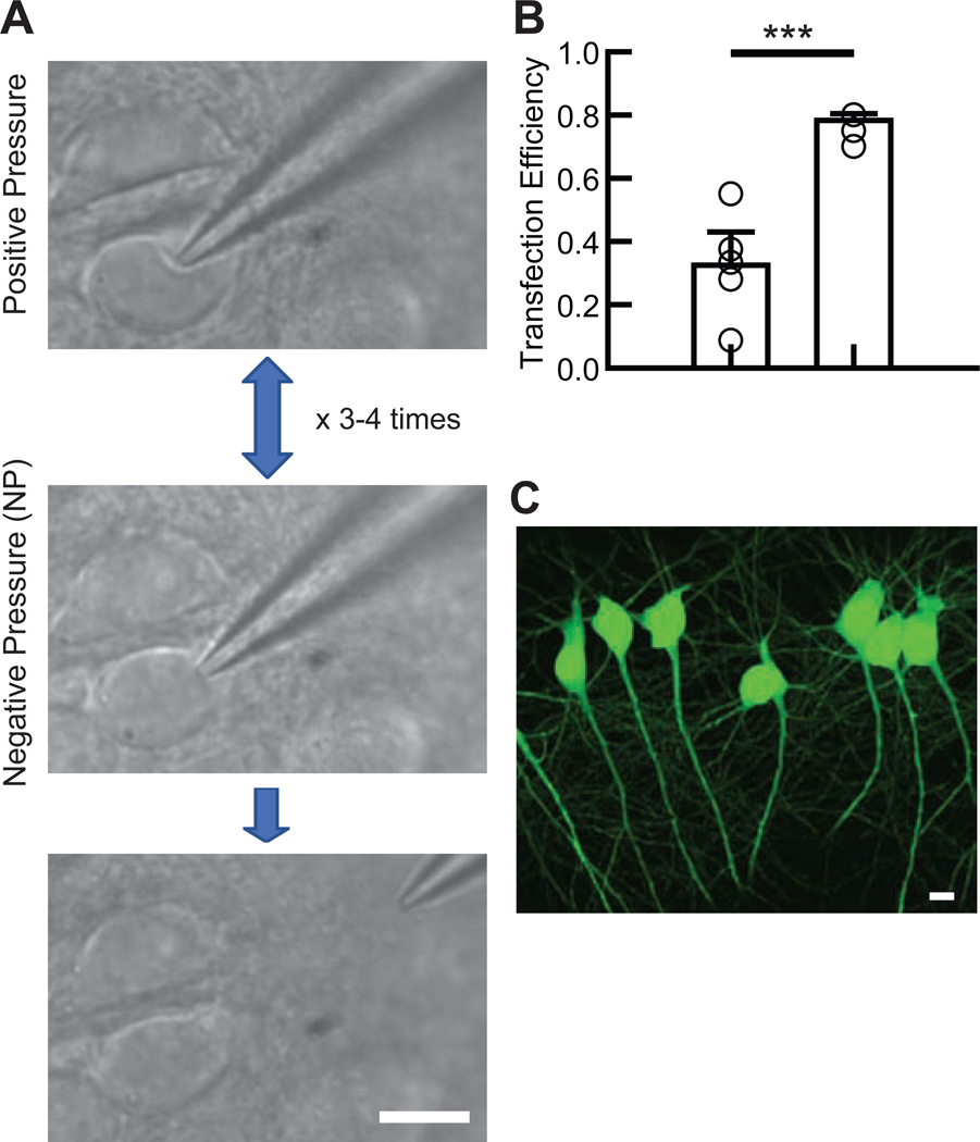 Figure 1.