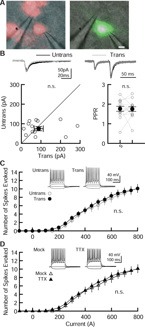 Figure 5.