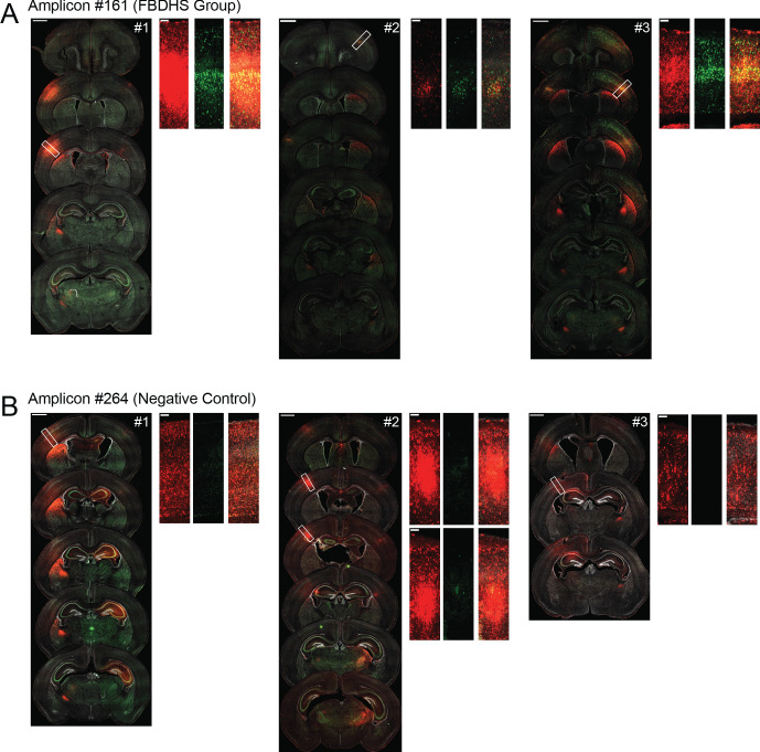 Figure 3—figure supplement 2.