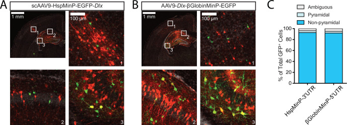 Figure 1—figure supplement 2.