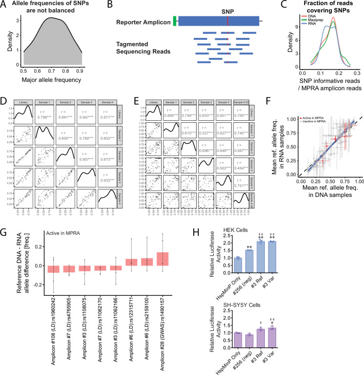 Figure 2—figure supplement 4.