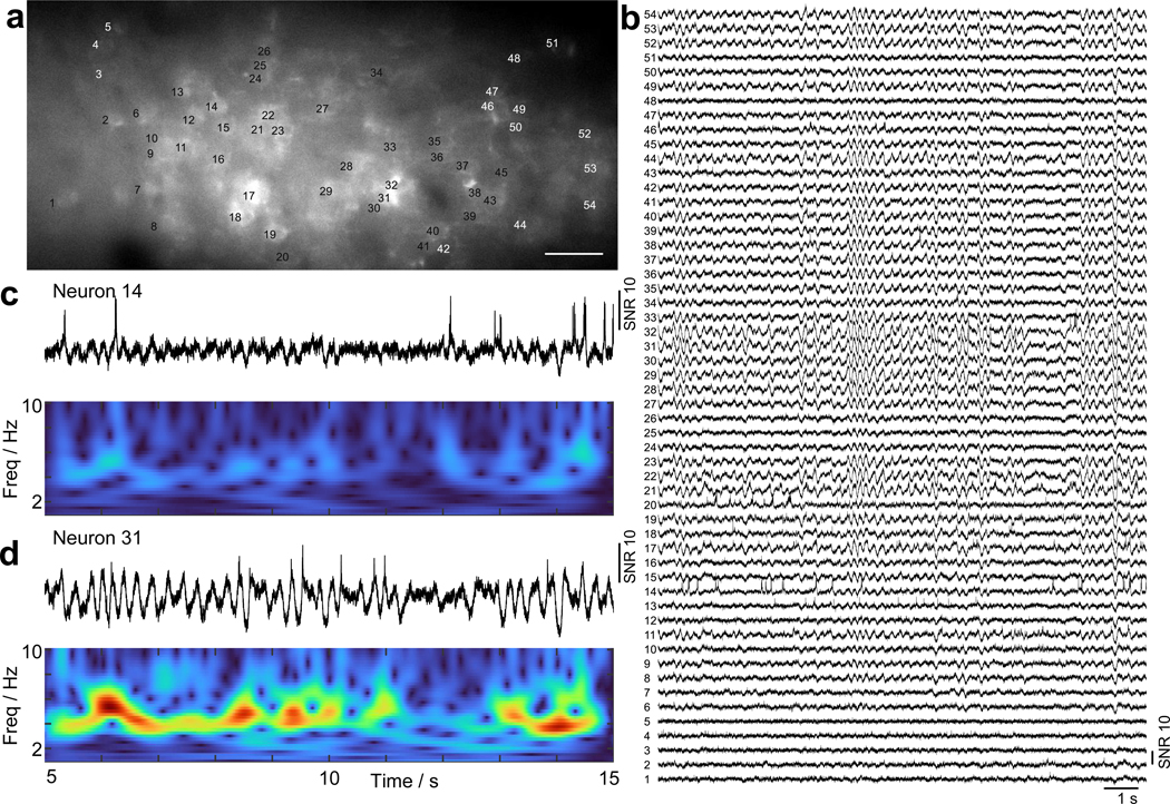 Extended Data Fig. 7