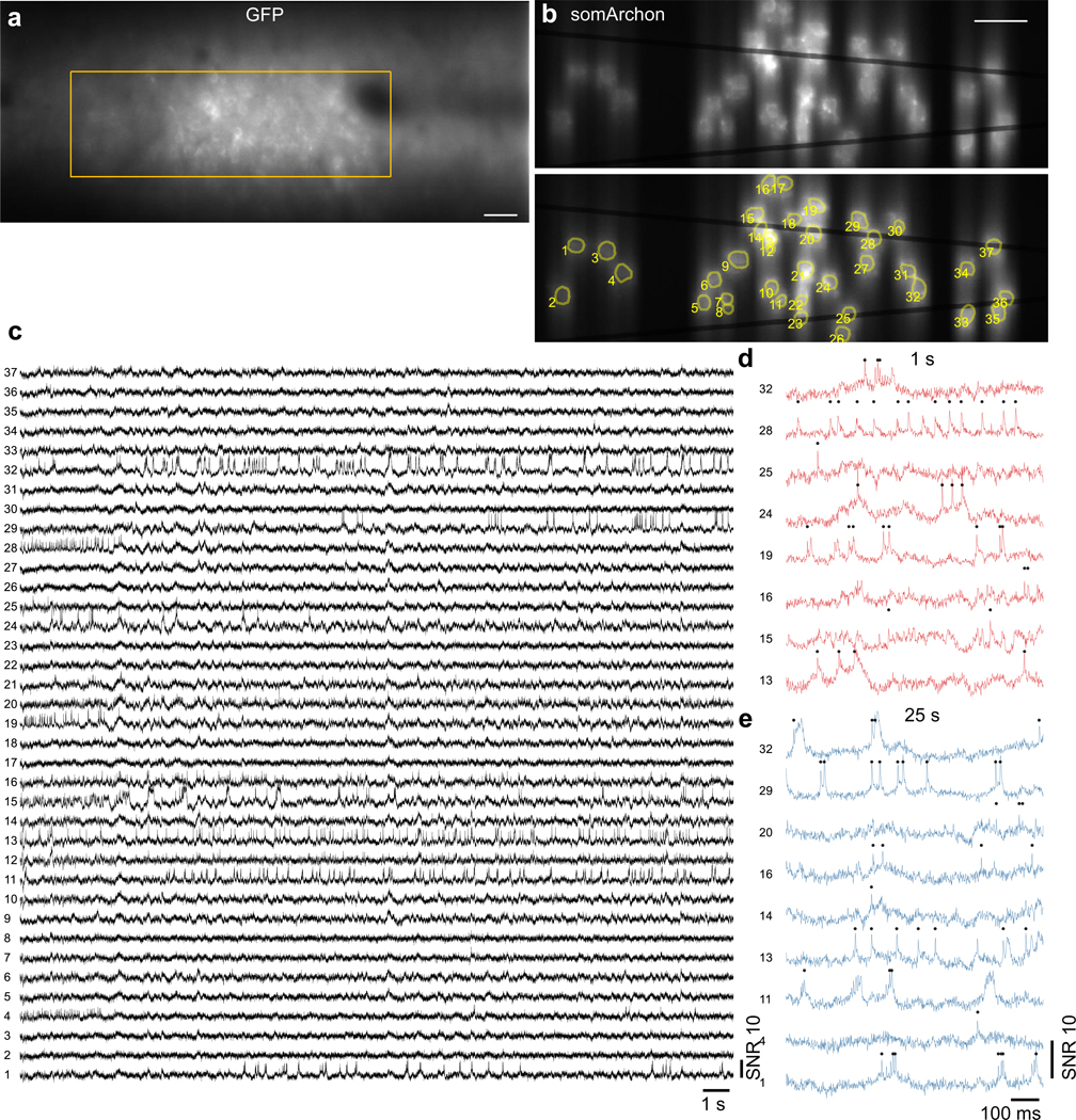 Extended Data Fig. 6