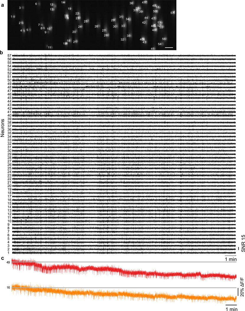 Extended Data Fig. 5