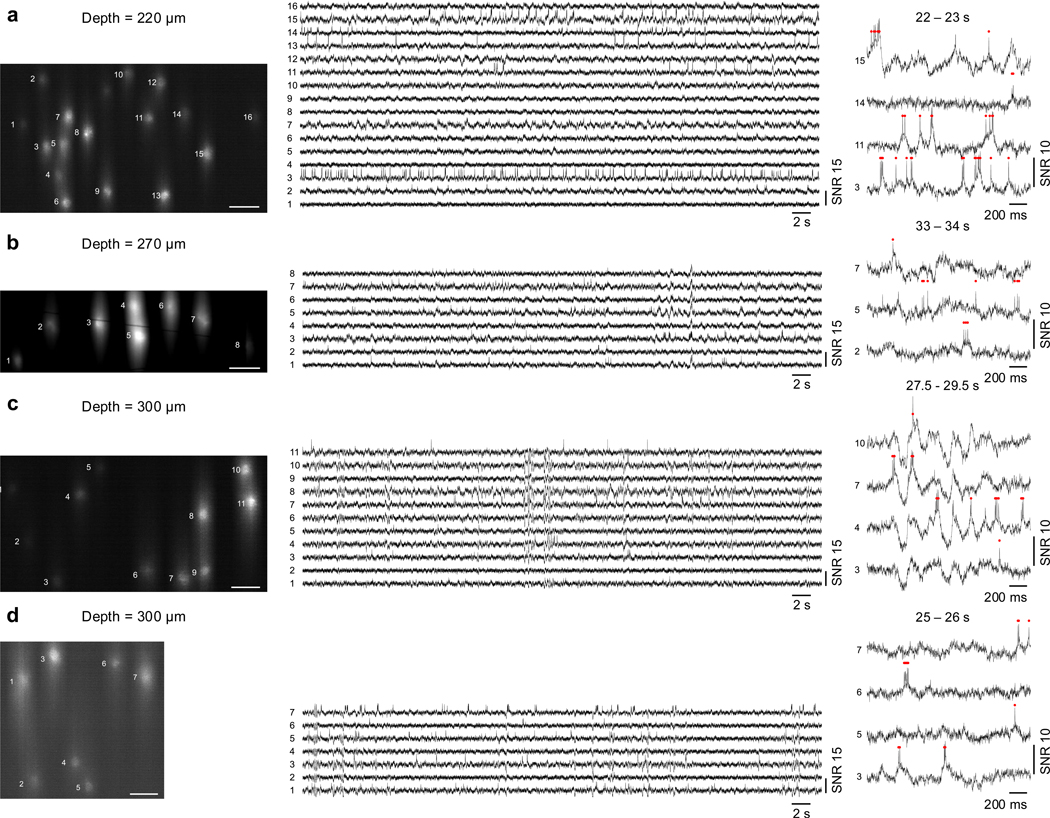 Extended Data Fig. 9