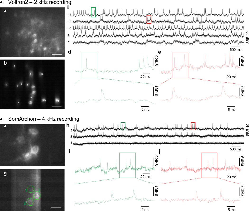 Extended Data Fig. 4