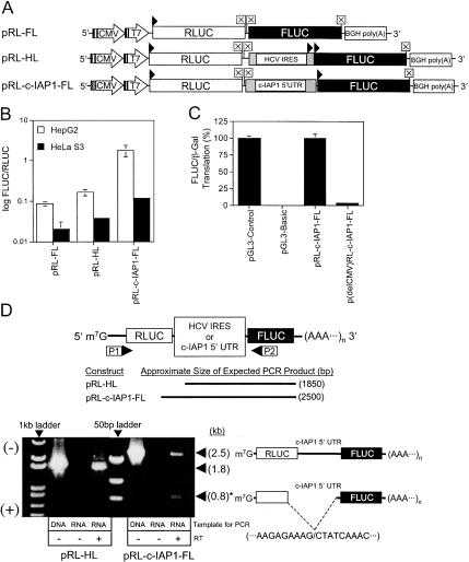 FIGURE 4.