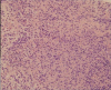 Figure 1d